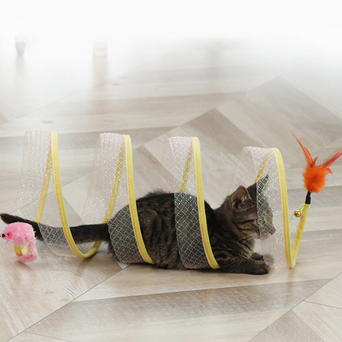 Whirlwind Cat Play Spinner