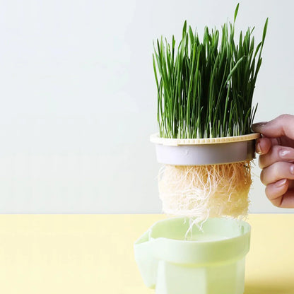 Cat Grass Cup | Soil-Free | BPA-Free & Reusable | For Sprouts & Wheatgrass