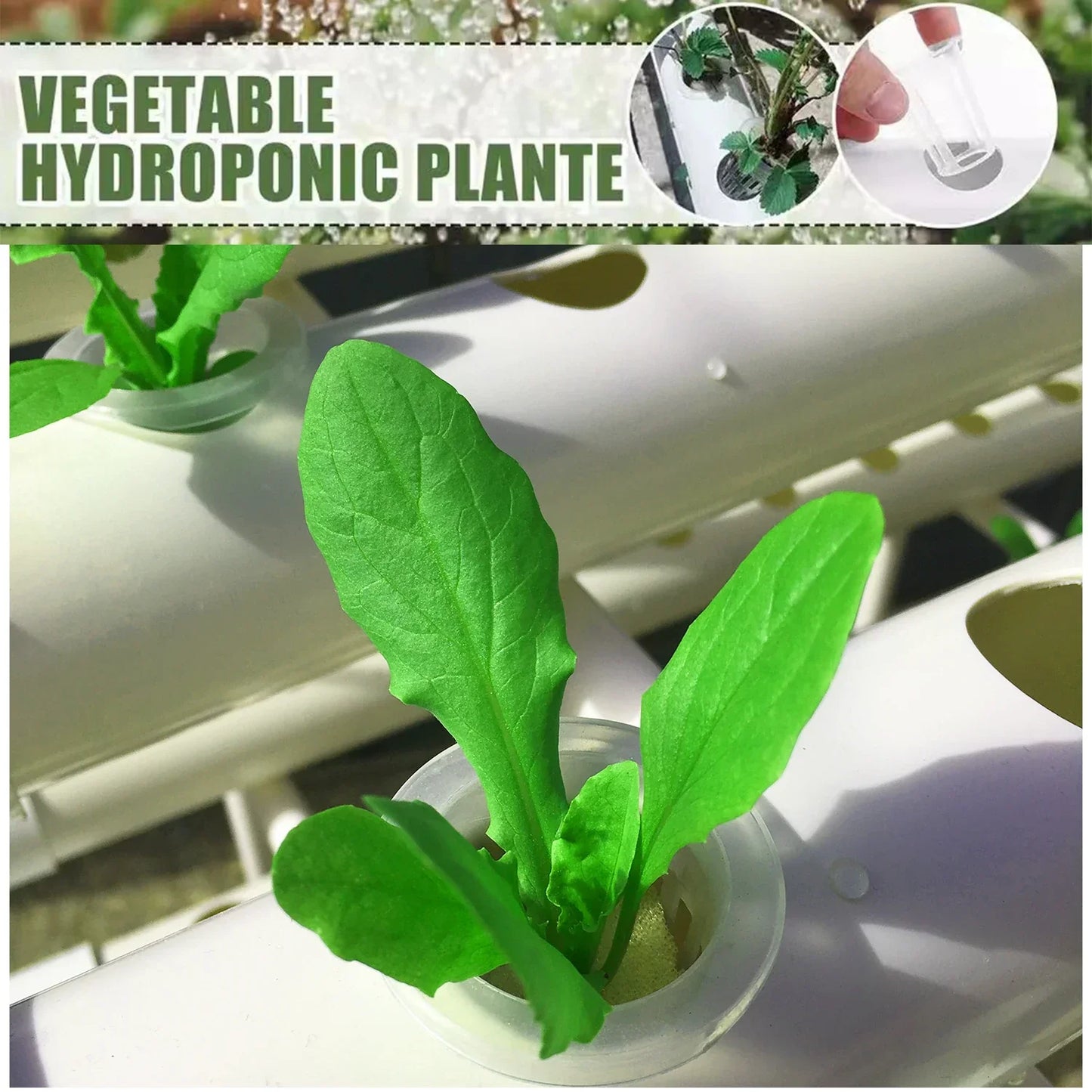 Indoor Hydroponics System with Pump & Timer - 36 Plant Spaces for Herbs & Vegetables - White