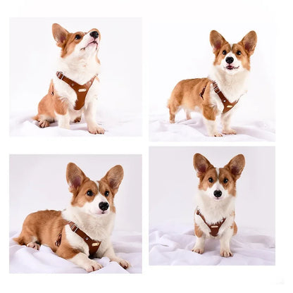 Customizable Leather Dog Harness for Ultimate Comfort
