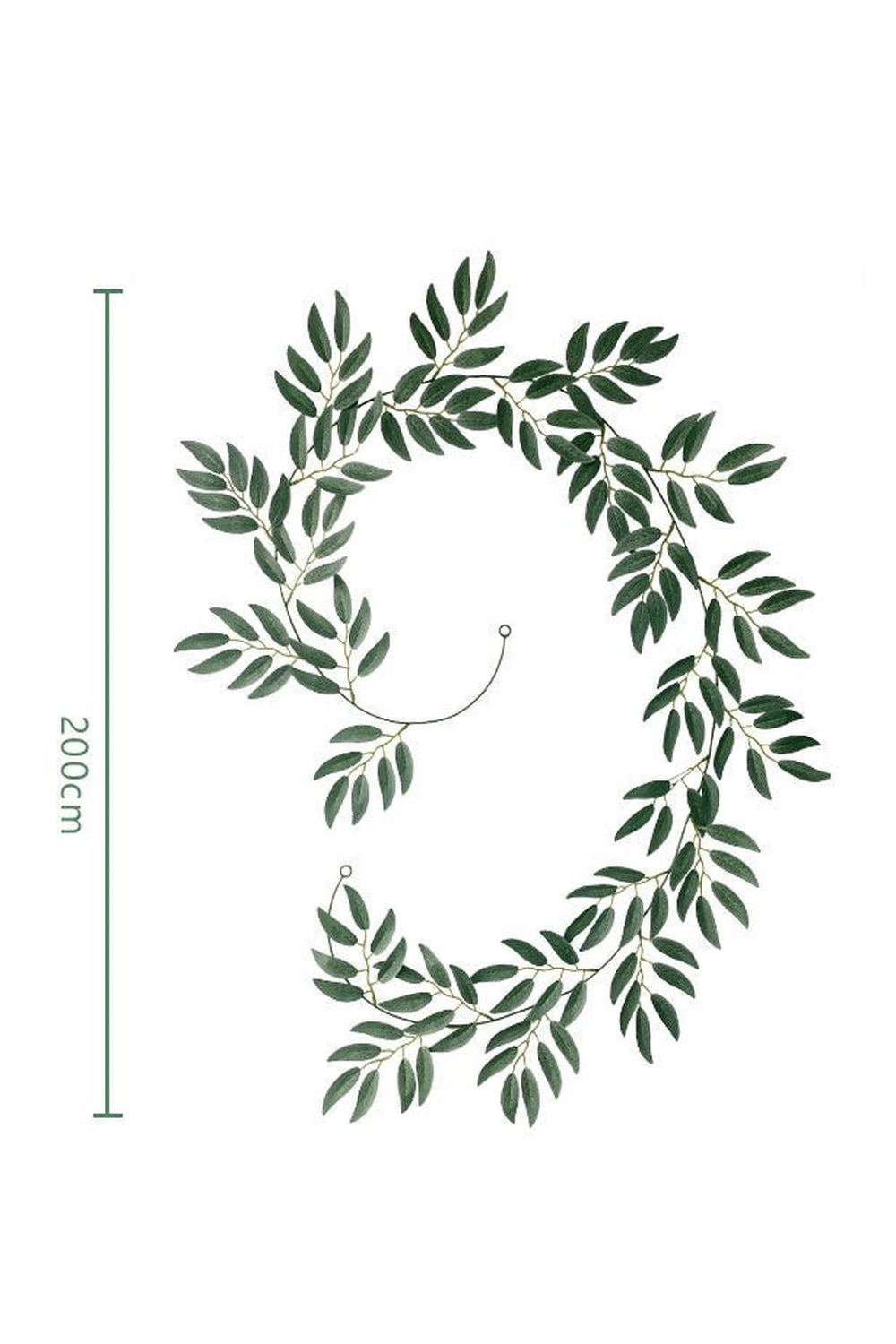 Bamboo Leaf Herbal Infusion