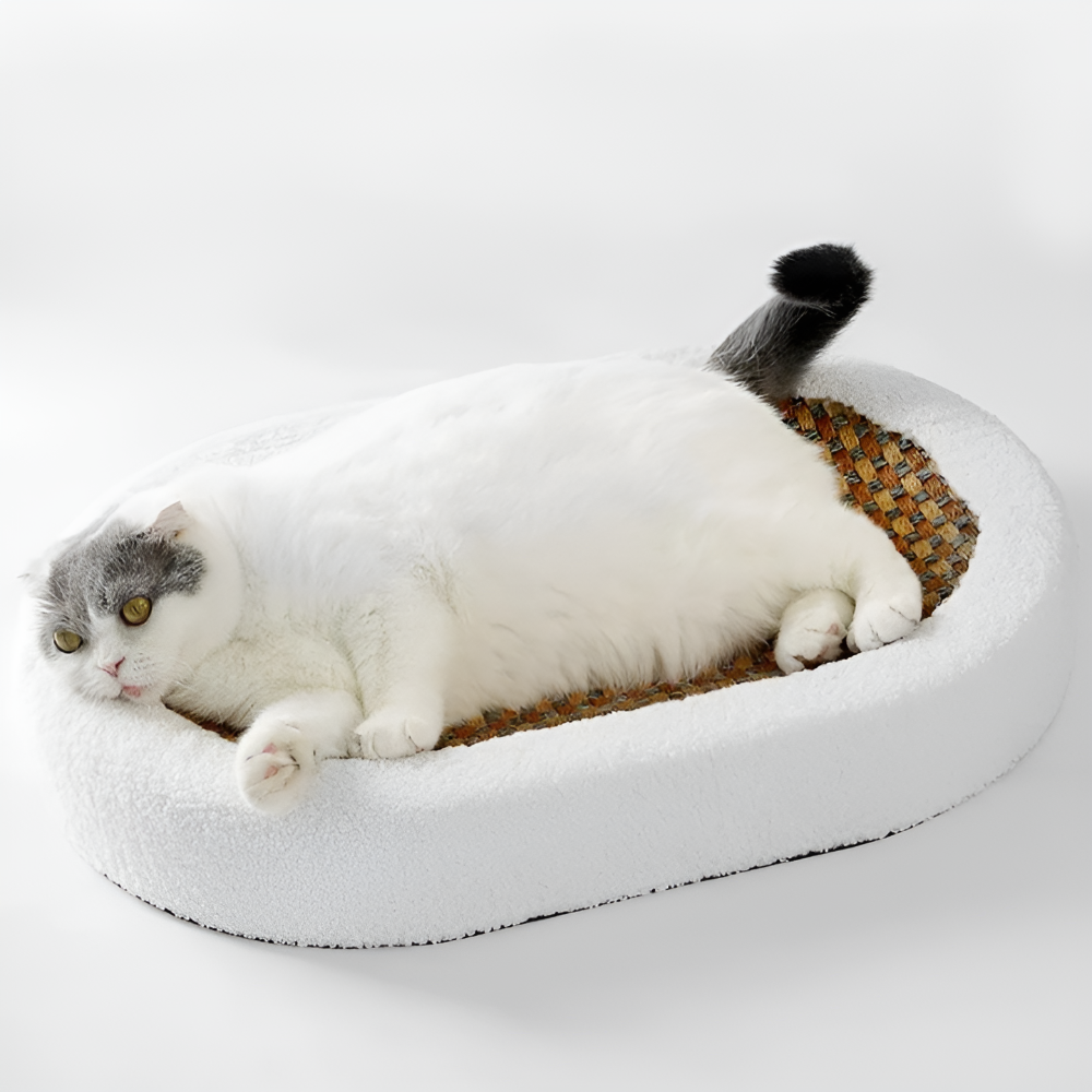 Plush 2-in-1 Cat Furniture – Luxury Bed with Scratching Surface
