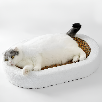 Plush 2-in-1 Cat Furniture – Luxury Bed with Scratching Surface