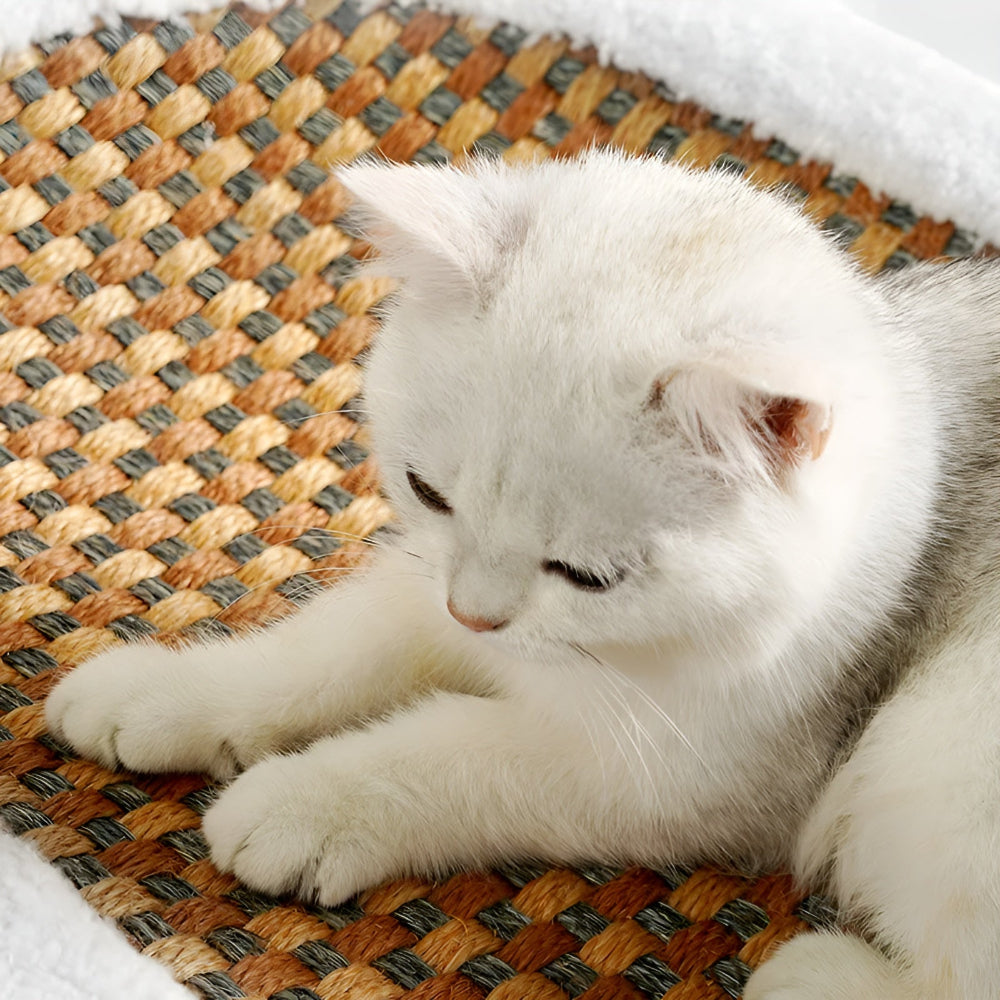 Plush 2-in-1 Cat Furniture – Luxury Bed with Scratching Surface
