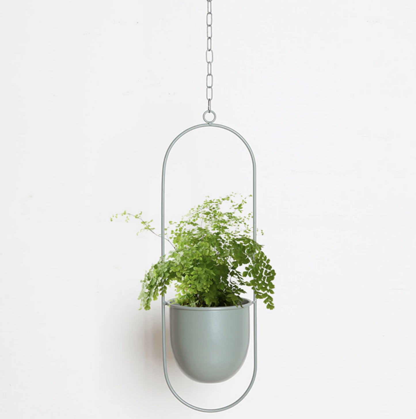 Elegant Metal Plant Holder for Wall or Ceiling – FloraFrame