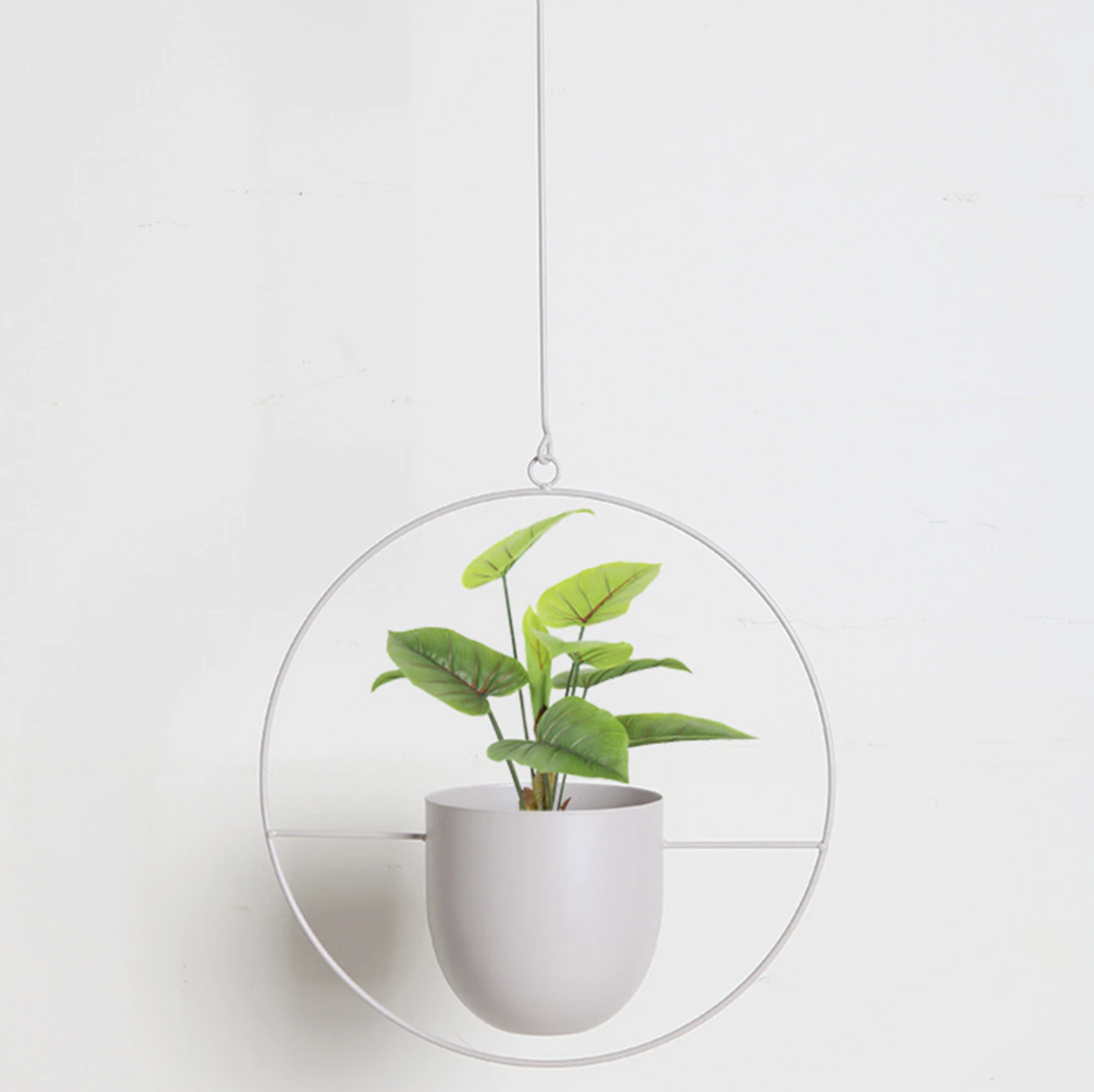Elegant Metal Plant Holder for Wall or Ceiling – FloraFrame
