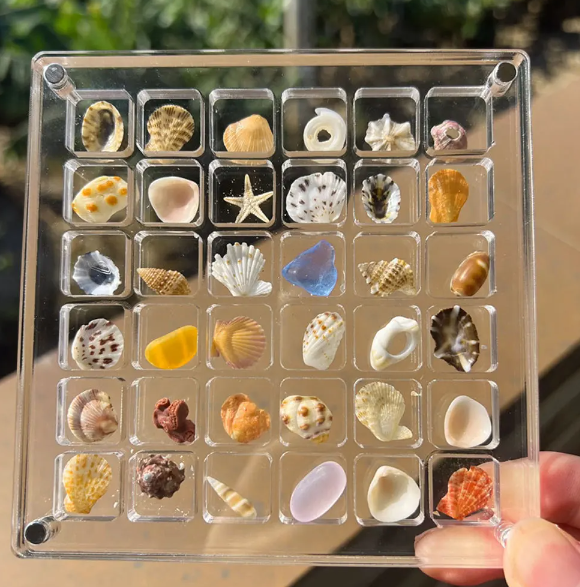 Elegant Display Case for Your Precious Collectibles