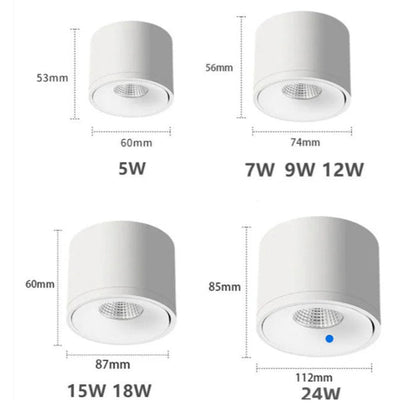 Rotating Surface-Mounted Ceiling Spotlight with Directional Beam