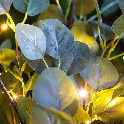 Lighted Faux Eucalyptus Garland - Battery-Powered Decorative Branch