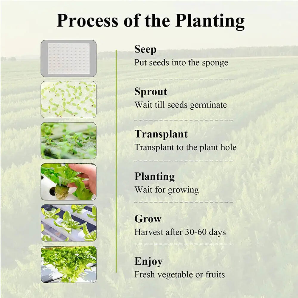 Indoor Hydroponics System with Pump & Timer - 36 Plant Spaces for Herbs & Vegetables - White