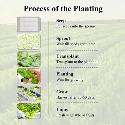 Indoor Hydroponics System with Pump & Timer - 36 Plant Spaces for Herbs & Vegetables - White