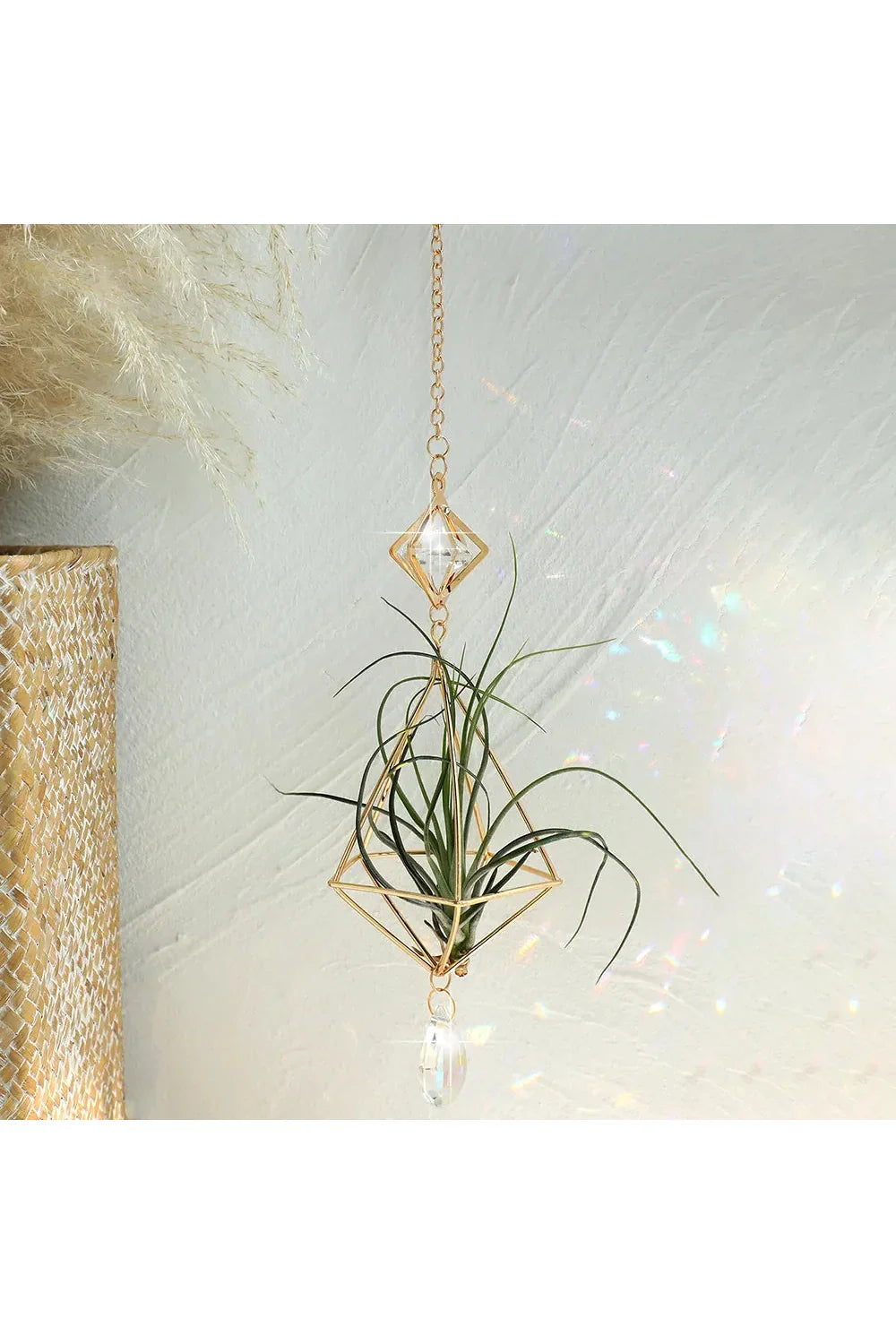 Sun Catcher for Air Plants