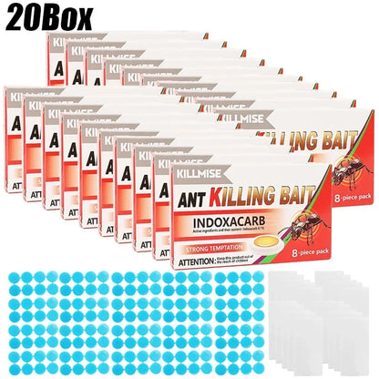 Effective Ant Control Solution for Home and Garden