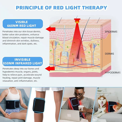Infrared Waist Wrap with Red Light Therapy – 660nm 850nm for Pain Relief and Recovery