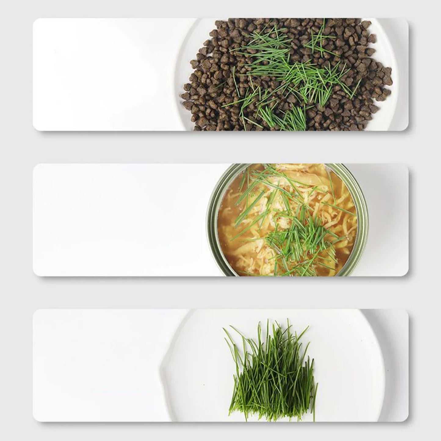 Cat Grass Cup | Soil-Free | BPA-Free & Reusable | For Sprouts & Wheatgrass