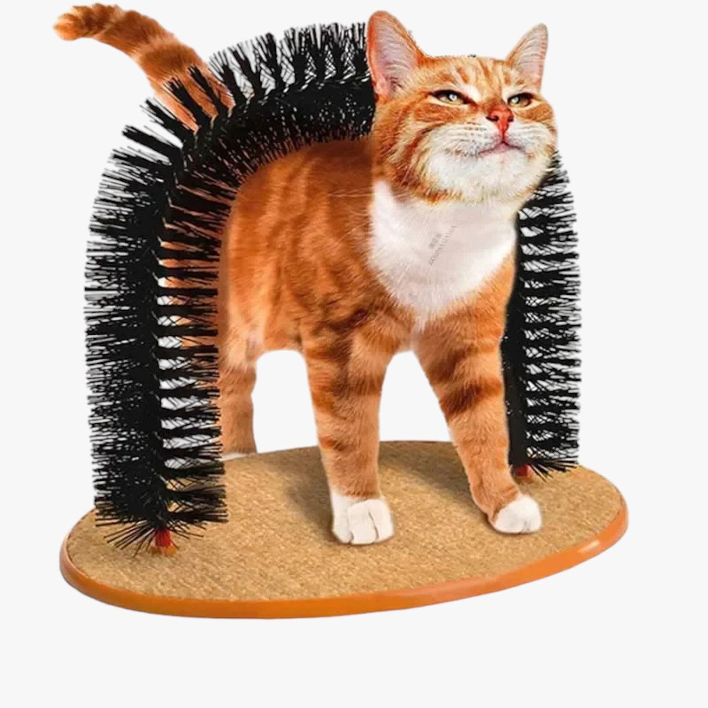 Cat Care Arch with Scratching Mat and Massage Feature