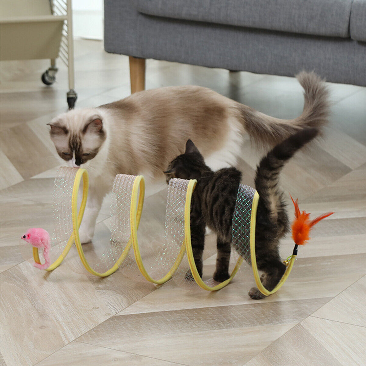 Whirlwind Cat Play Spinner