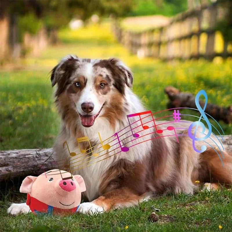 Dynamic Interactive Pet Play Ball for Endless Fun