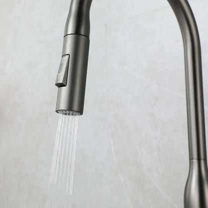 Adjustable Kitchen Faucet with Hand Shower – AquaStream Luxe Design