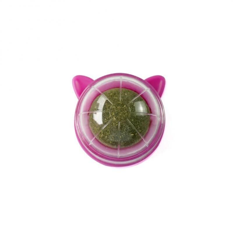 Catnip Toy for Cats – Rotating Ball & Mint for Dental Health