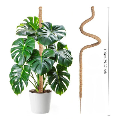 Large Coconut Plant Support Stake | Flexible Coco Fiber Support | Ideal for Monstera & Climbing Plants