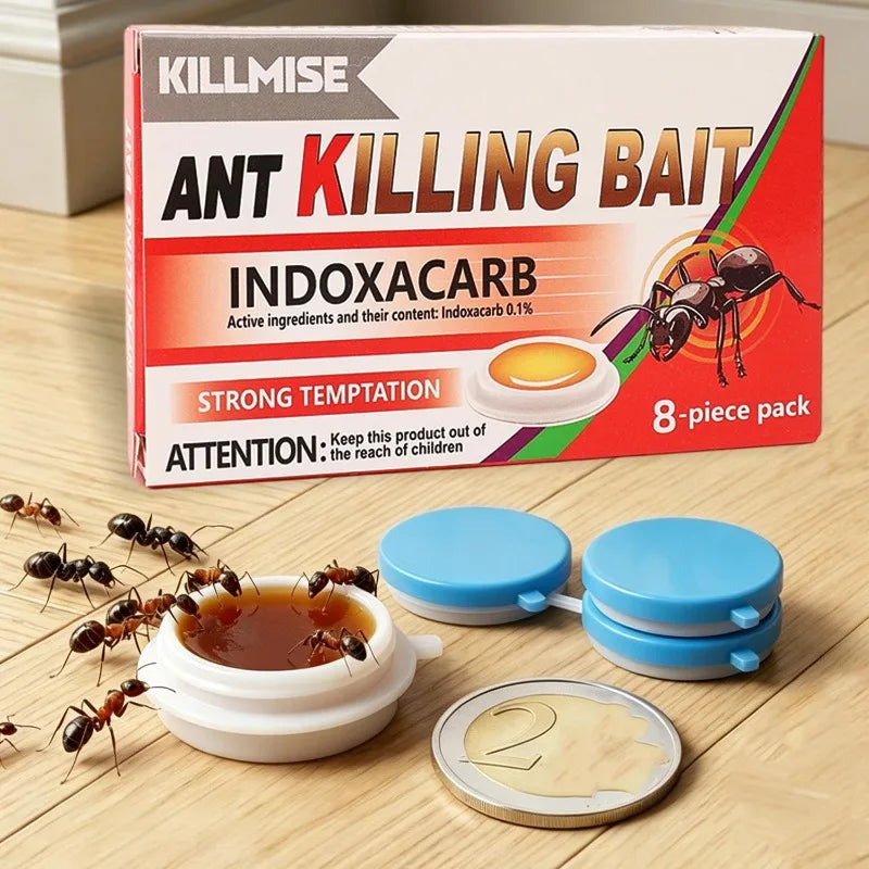 Effective Ant Control Solution for Home and Garden