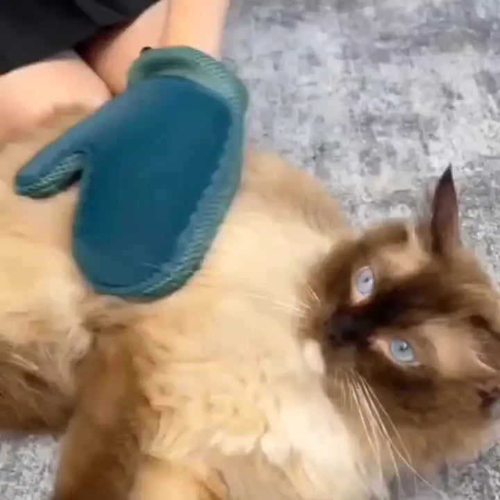 Pet Care Glove & Grooming Tool for Effortless Fur Removal