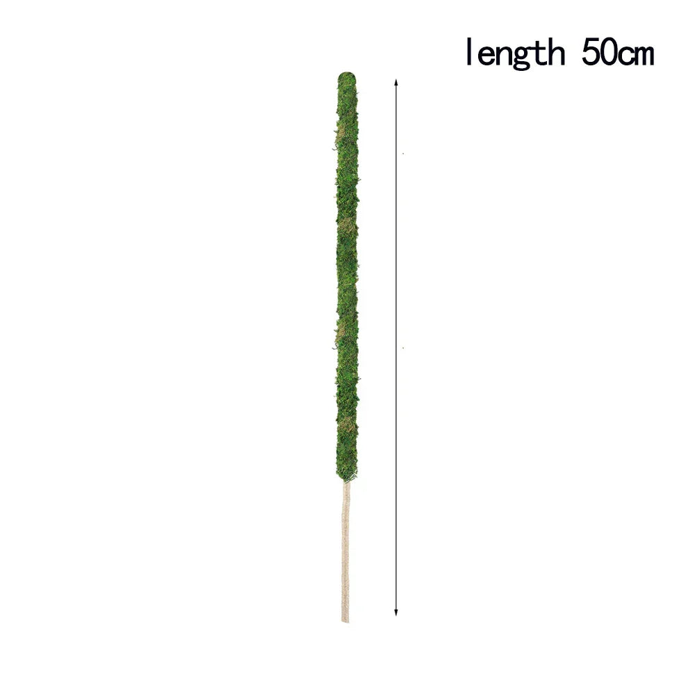 Natural Handmade Growth-Enhancing Moss Stick for Indoor Plants