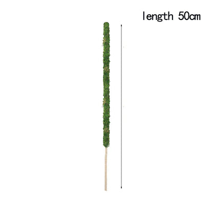 Natural Handmade Growth-Enhancing Moss Stick for Indoor Plants