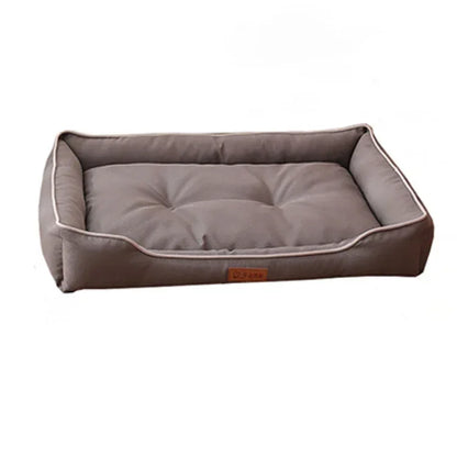 Durable Couch | Bed with Scratch-Resistant Surface