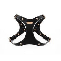 Black chest strap