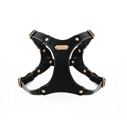 Customizable Leather Dog Harness for Ultimate Comfort