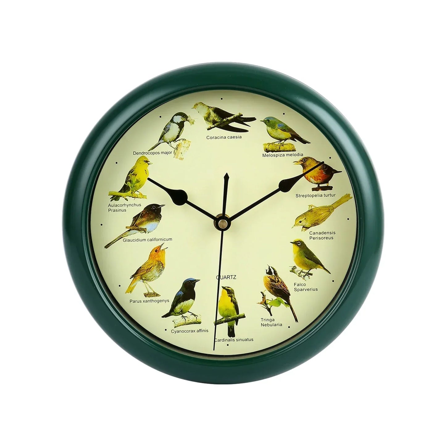 10-Inch Wall Clock Featuring Bird Sounds for Elegant Home Decor