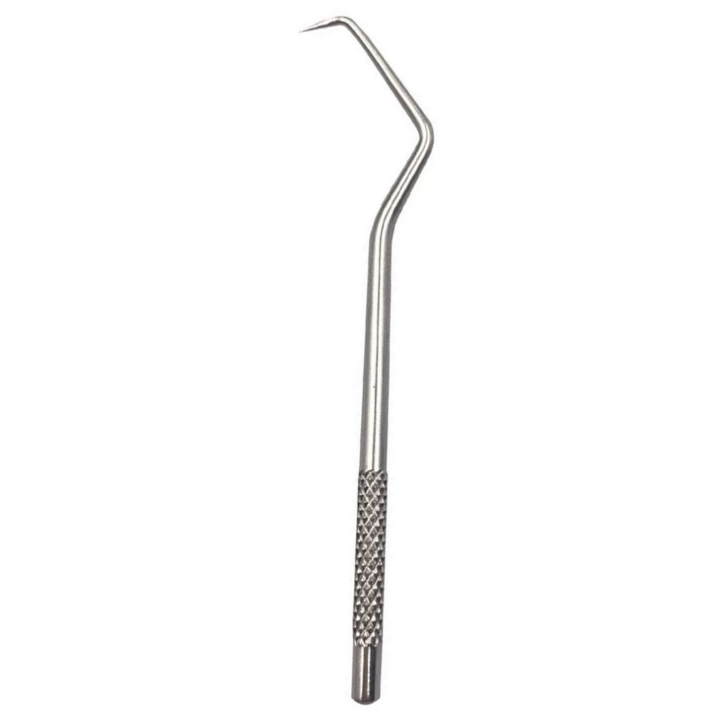 Stainless Steel Toothpick Set of 7 Pieces