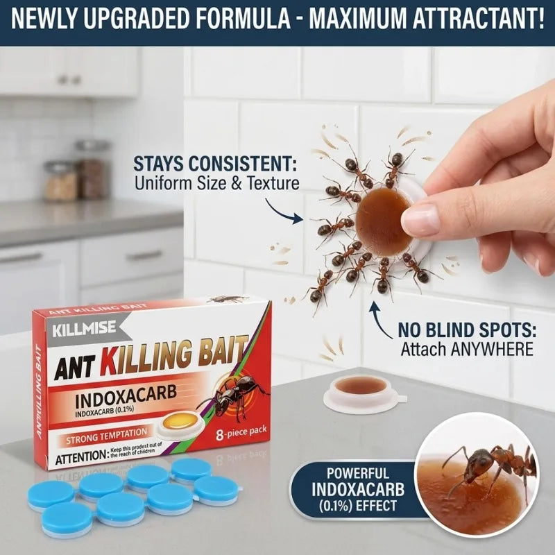 Effective Ant Control Solution for Home and Garden