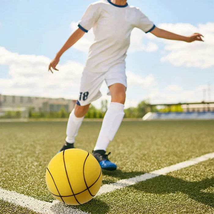 Indoor and Outdoor Basketball - Play Silently with Ease