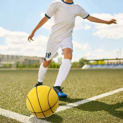 Indoor and Outdoor Basketball - Play Silently with Ease