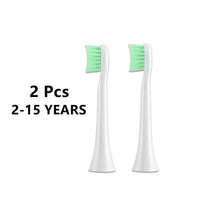 Brush 2 pcs.
