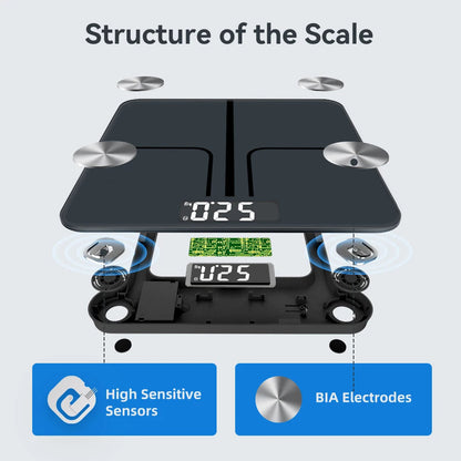 Body Weight Scale with ITO Sensor - 12 Metrics, Bluetooth App, 400 lb Capacity