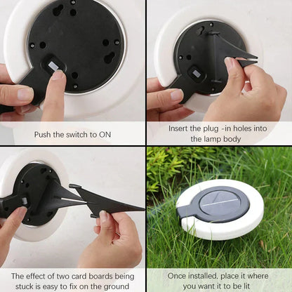 Eco-Friendly Solar Pathway Light | 360-Degree Adjustable Beam