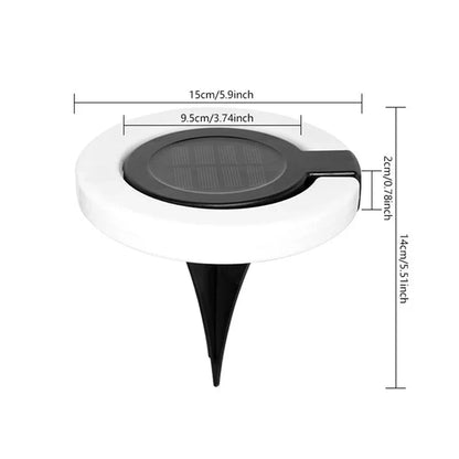 Eco-Friendly Solar Pathway Light | 360-Degree Adjustable Beam