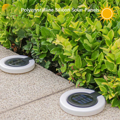 Eco-Friendly Solar Pathway Light | 360-Degree Adjustable Beam