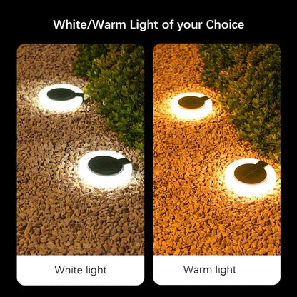 Eco-Friendly Solar Pathway Light | 360-Degree Adjustable Beam