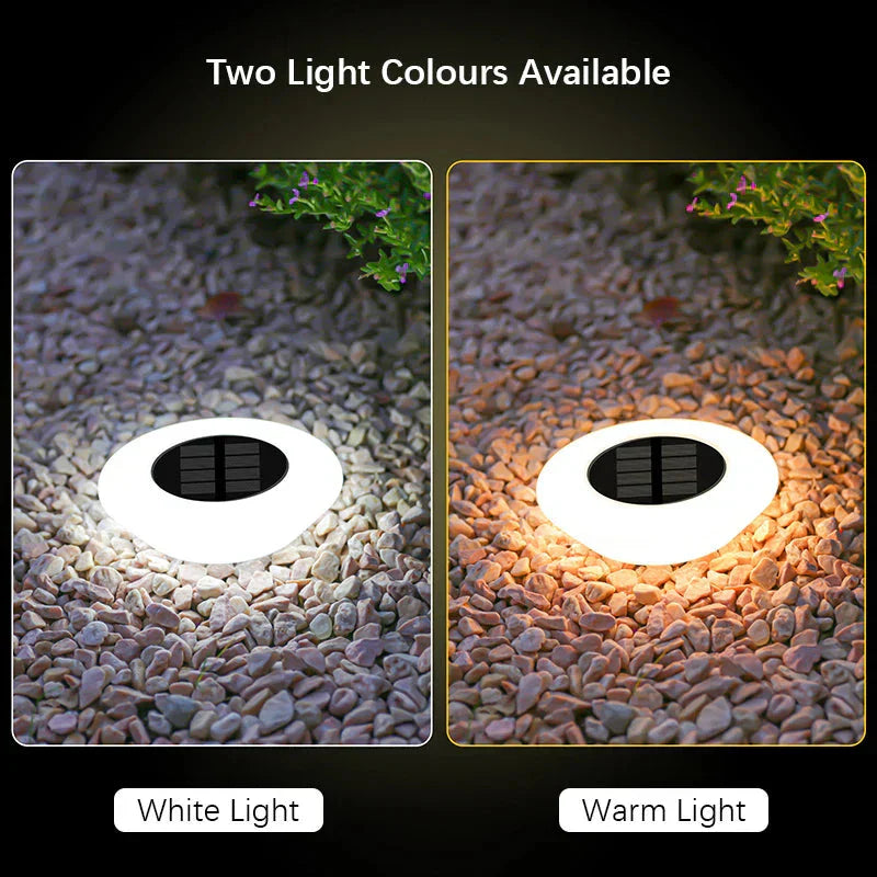 Eco-Friendly Solar Ground Lights with Automatic Dusk Sensor