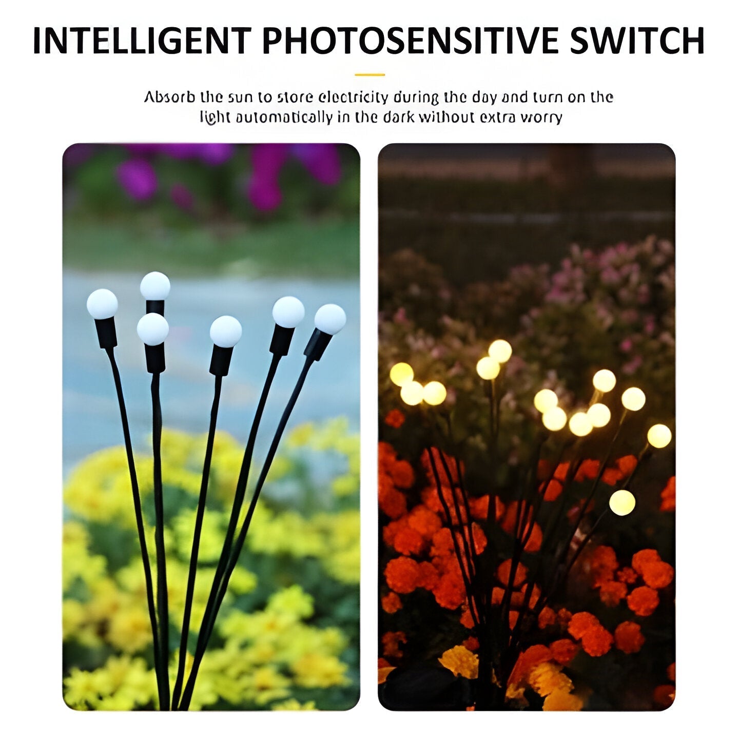 Outdoor Solar Garden Lights for Pathway and Landscape Illumination