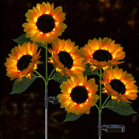 2 Packs with 3 Sunflowers