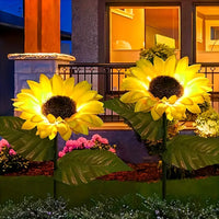 2 Packs with 1 Sunflower