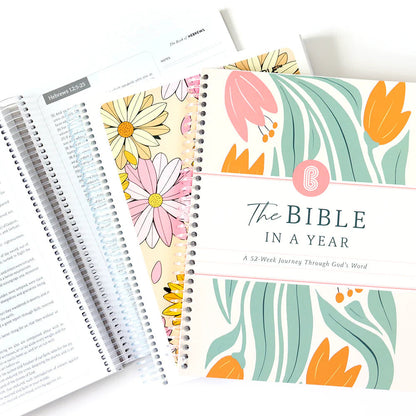 FaithJourney - 52-Week Interactive Bible Exploration