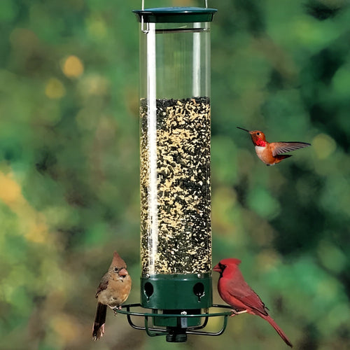 Squirrel-Resistant Bird Feeder