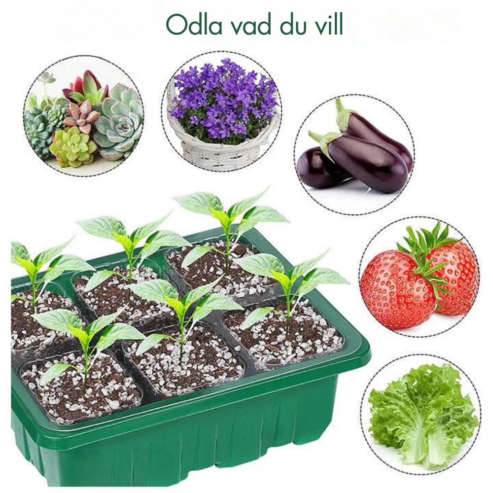Indoor Seedling Greenhouse with LED Growth Light